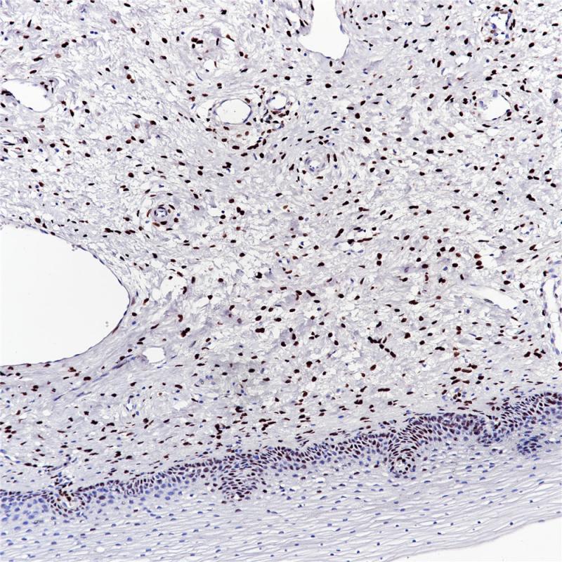 亚洲男人片片在线观看