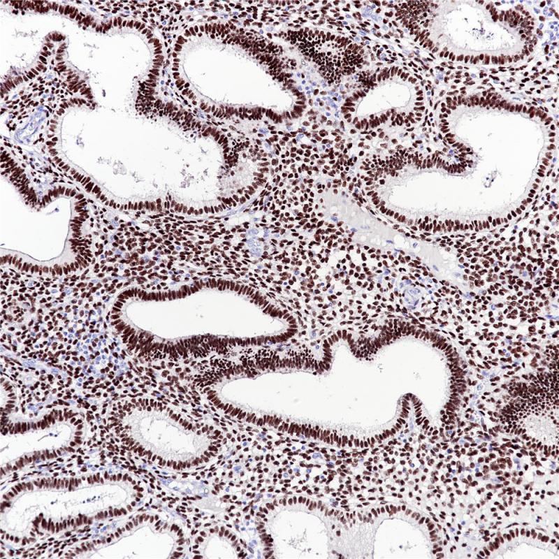 亚洲男人片片在线观看