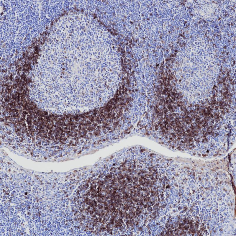 亚洲男人片片在线观看
