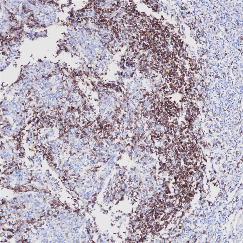 亚洲男人片片在线观看