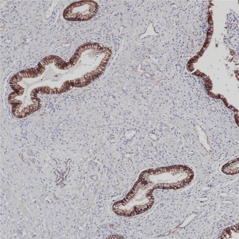 亚洲男人片片在线观看