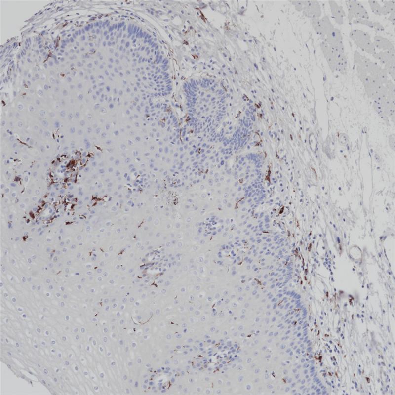 亚洲男人片片在线观看