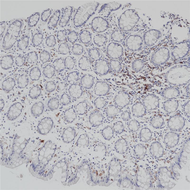 亚洲男人片片在线观看