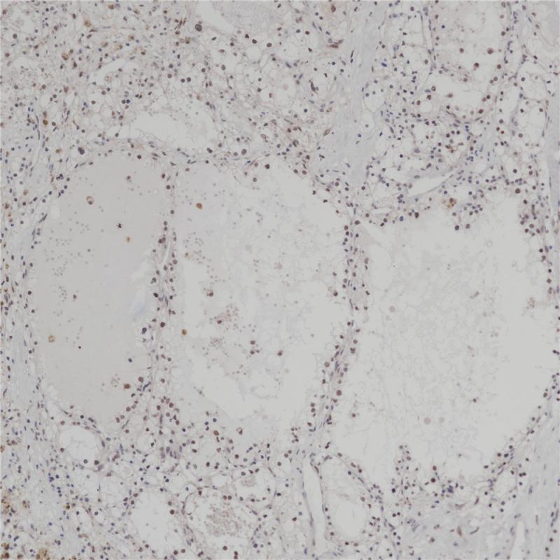 亚洲男人片片在线观看