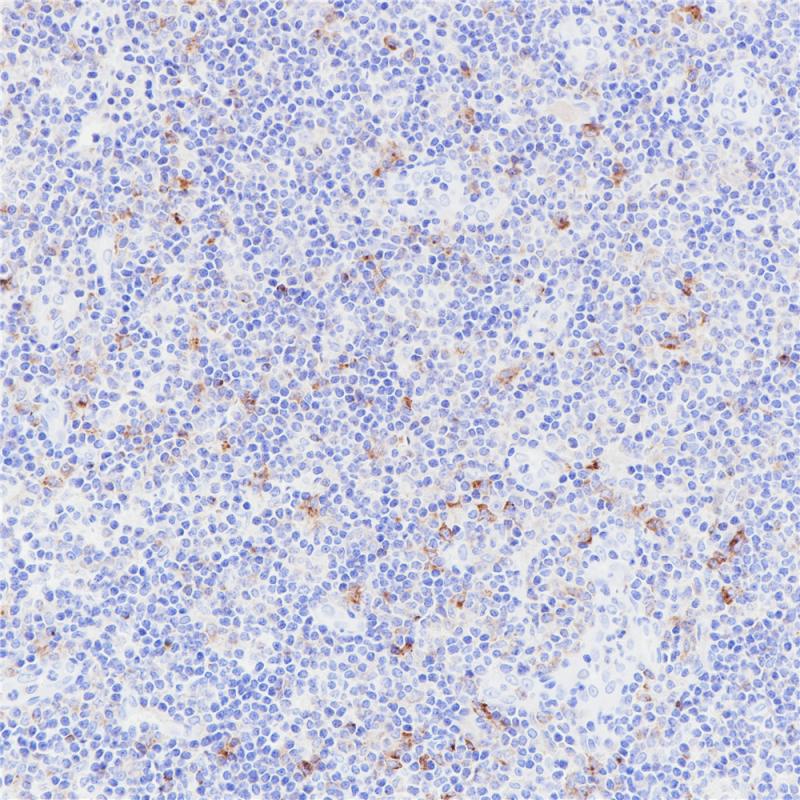 亚洲男人片片在线观看